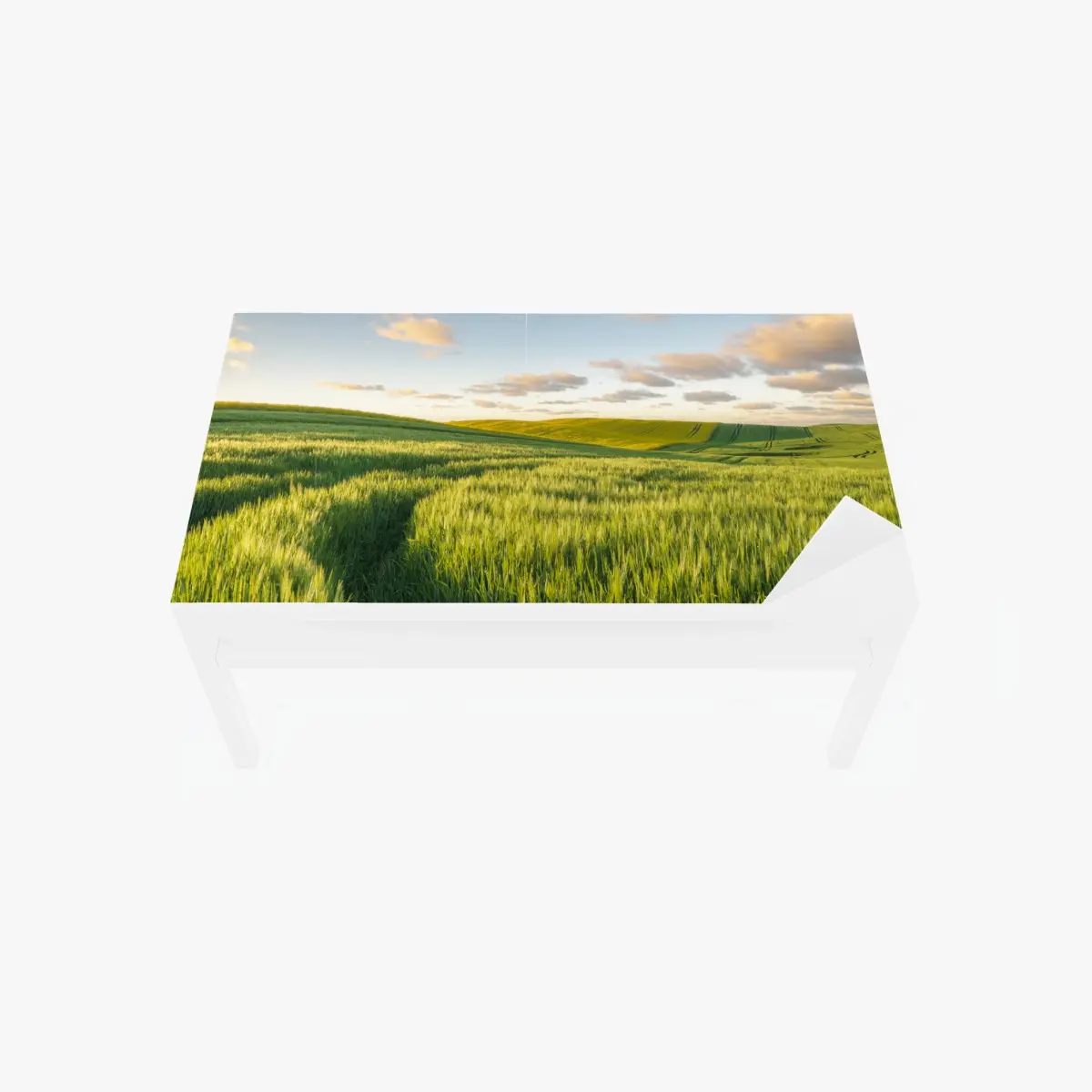 Adesivo per tavolo e scrivania panorama di campi verdi al tramonto • Wallissimo®