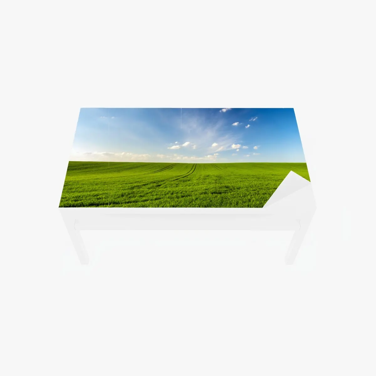 Adesivo per tavolo e scrivania panorama primaverile campo di grano verde • Wallissimo®