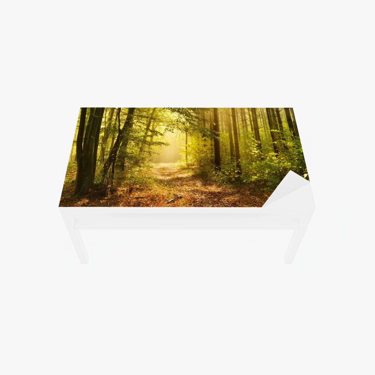 Adesivo per tavolo e scrivania sentiero dorato nella foresta • Wallissimo®