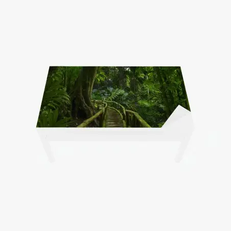 Adesivo per tavolo e scrivania passerella nella foresta pluviale lussureggiante • Wallissimo®