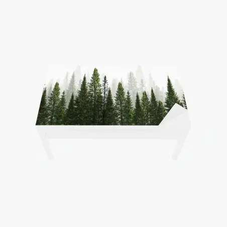 Adesivo per tavolo e scrivania foresta di abeti su sfondo bianco • Wallissimo®