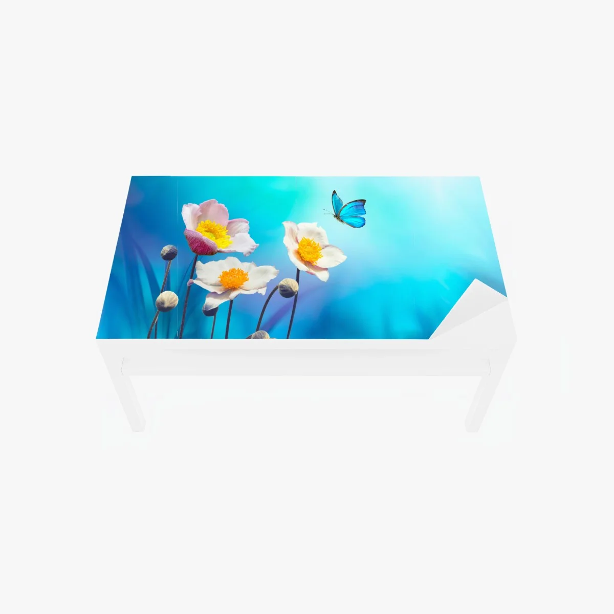Adesivo per tavolo e scrivania anemoni rosa e farfalla blu su sfondo celeste • Wallissimo® Adesivo per tavolo e scrivania anemoni rosa e farfalla blu su sfondo celeste • Wallissimo®