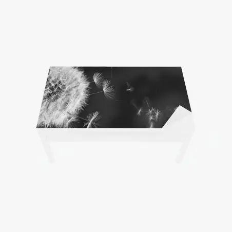 Adesivo per tavolo e scrivania soffione al vento, eleganza minimalista • Wallissimo®