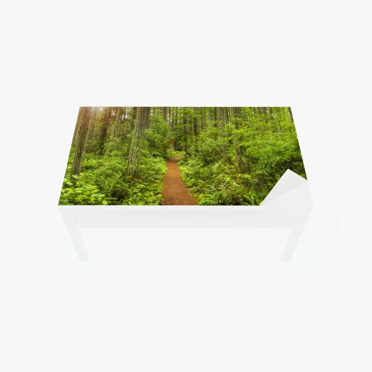 Adesivo per tavolo e scrivania sentiero incantato nella foresta verde • Wallissimo®