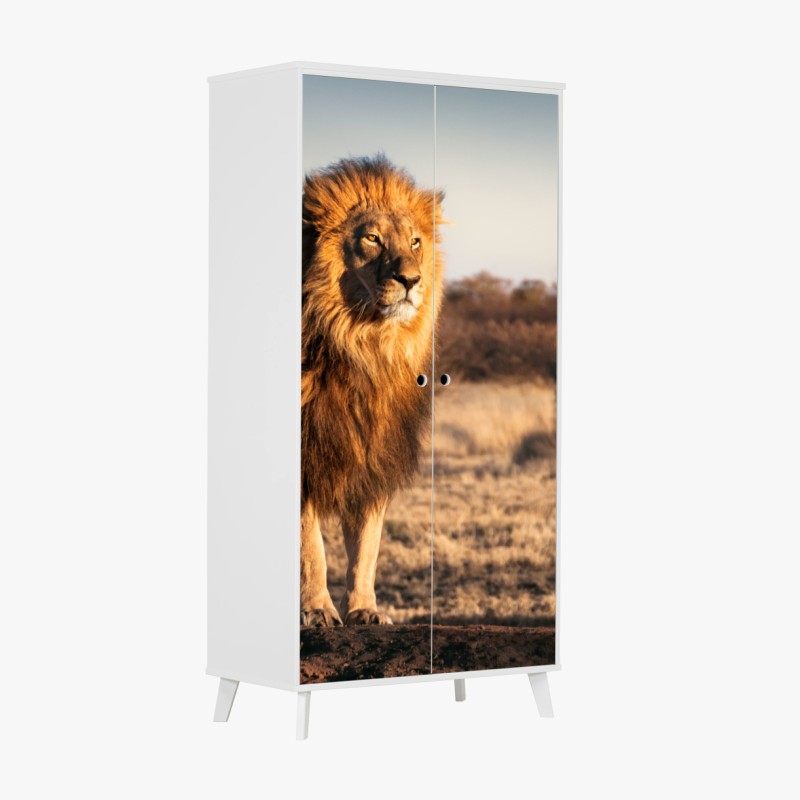 Adesivo per armadio il re della savana