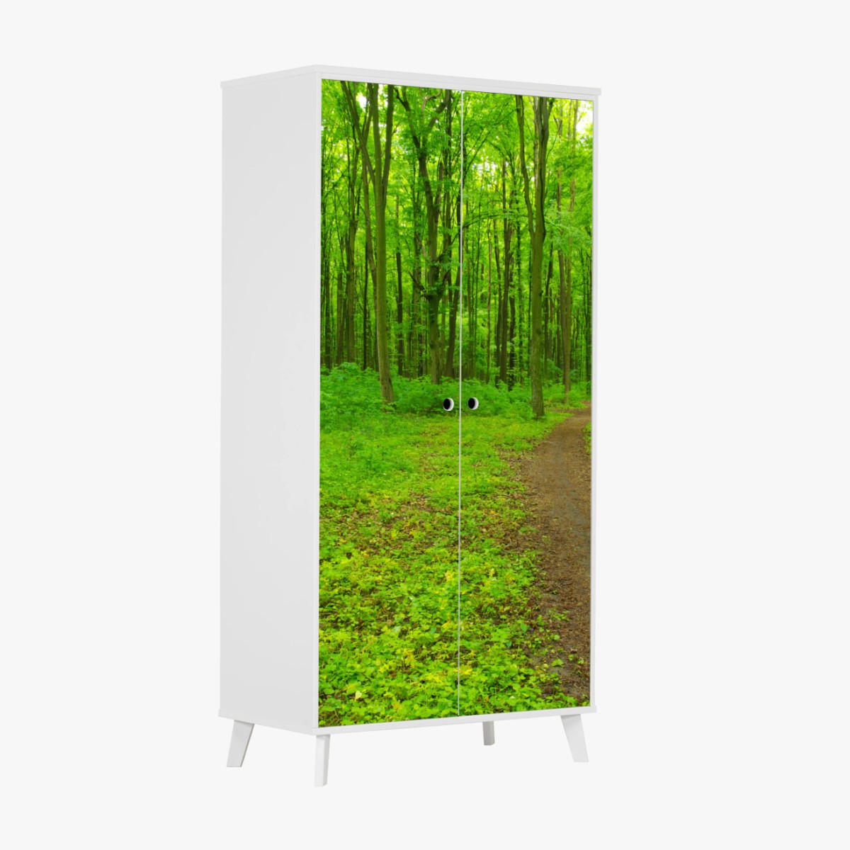 Adesivo per armadio sentiero nella foresta primaverile • Wallissimo®