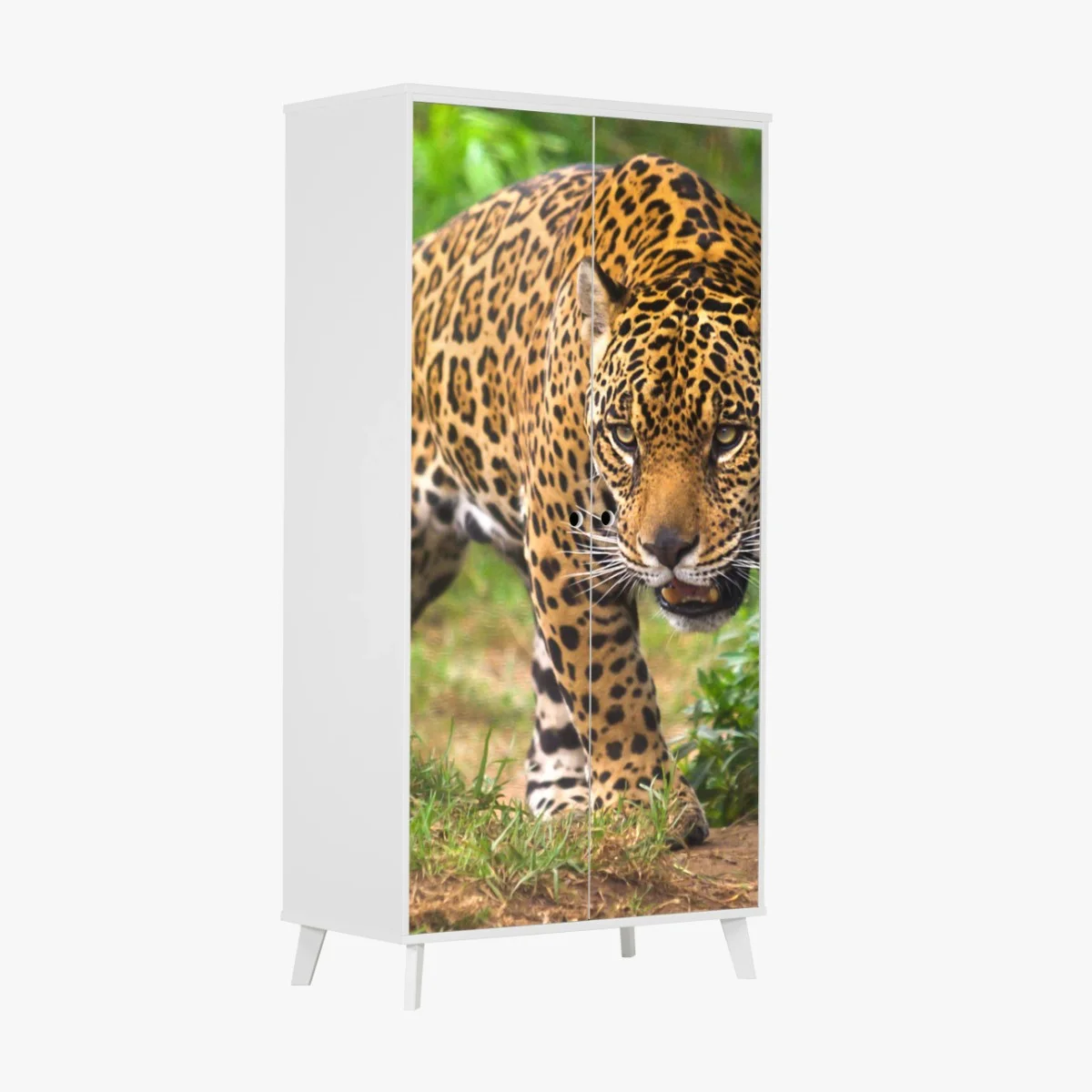 Adesivo per armadio sguardo selvaggio ritratto di giaguaro • Wallissimo® Adesivo per armadio sguardo selvaggio ritratto di giaguaro • Wallissimo®