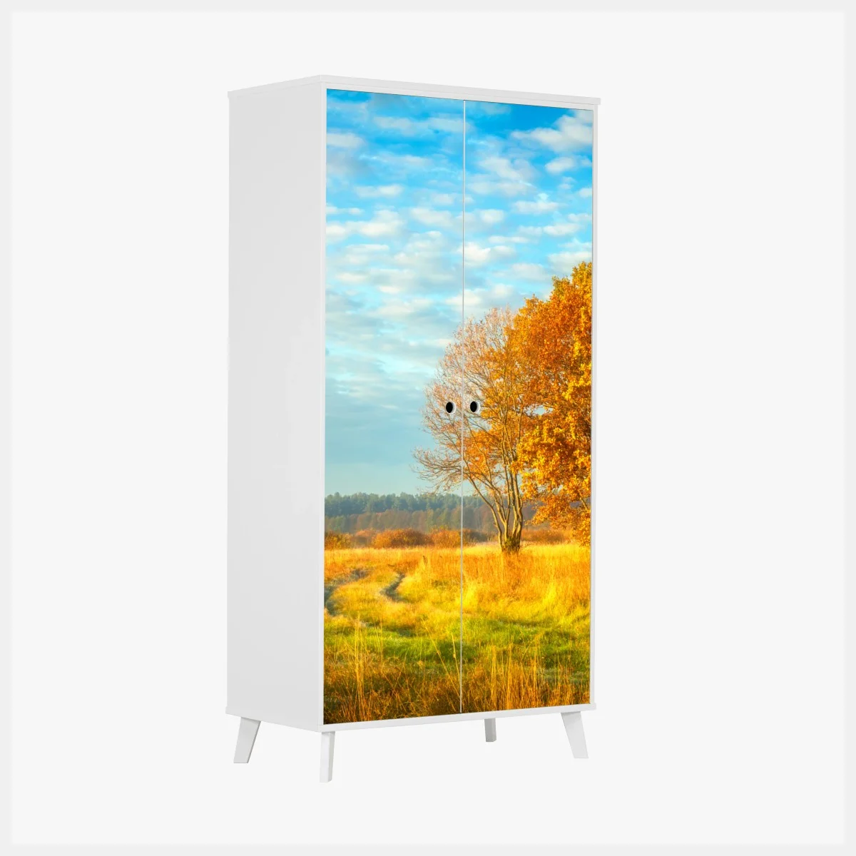 Adesivo per armadio mattina d'autunno nel prato dorato • Wallissimo® Adesivo per armadio mattina d'autunno nel prato dorato • Wallissimo®