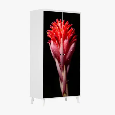 Adesivo per armadio fioritura tropicale su sfondo nero • Wallissimo®
