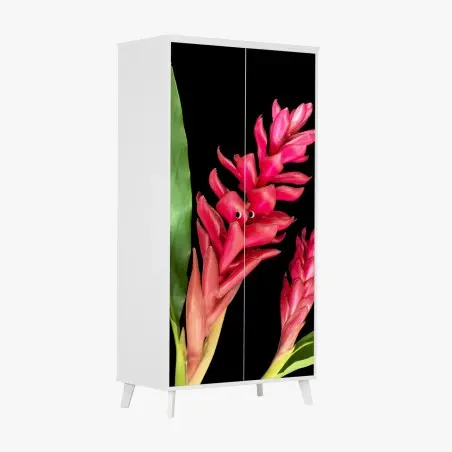Adesivo per armadio fioritura tropicale rossa su sfondo nero • Wallissimo®