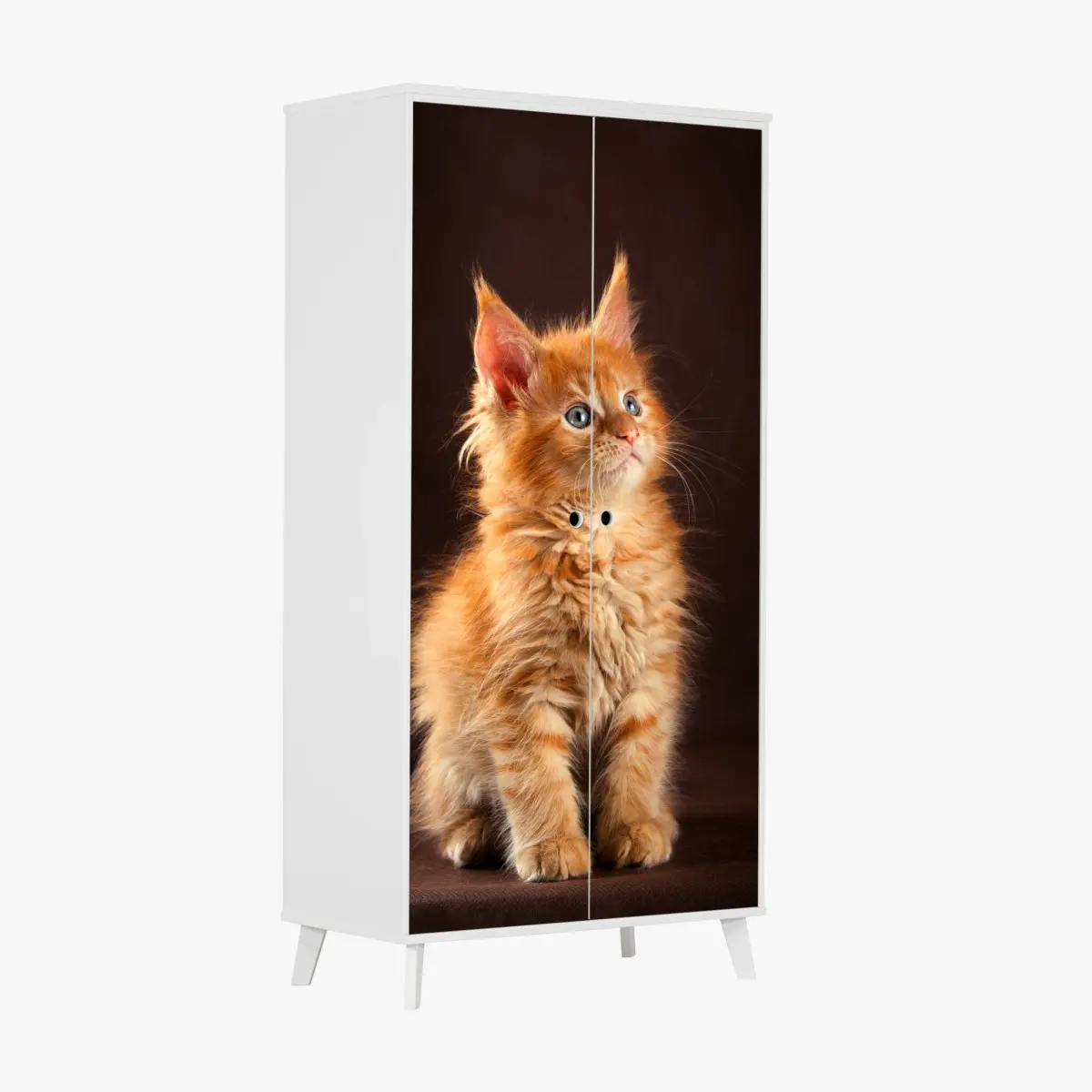 Adesivo per armadio gattino arancione dal manto soffice e occhi azzurri • Wallissimo®
