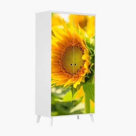 Adesivo per armadio girasole in primo piano dal colore solare • Wallissimo®