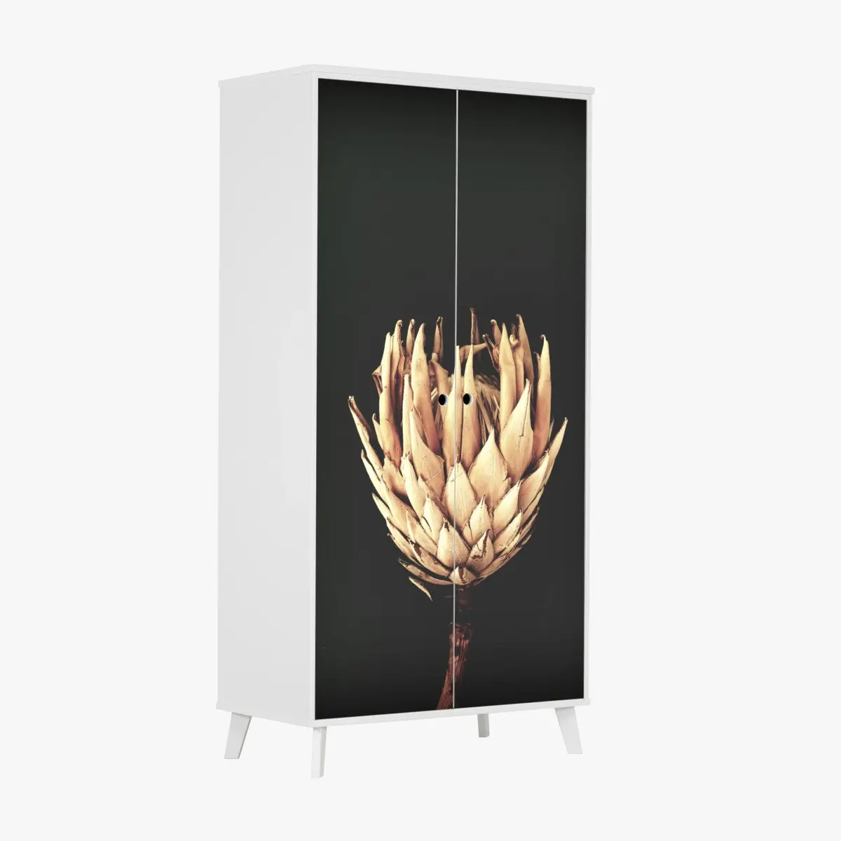 Adesivo per armadio protea essiccata su sfondo scuro, botanica minimal • Wallissimo®