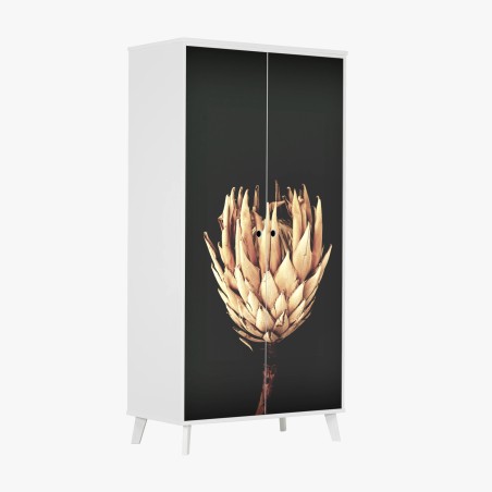 Adesivo per armadio protea essiccata su sfondo scuro, botanica minimal • Wallissimo®