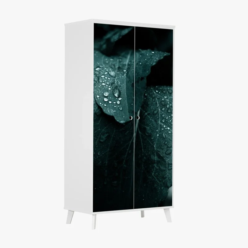 Adesivo per armadio dettaglio botanico: foglia con gocce