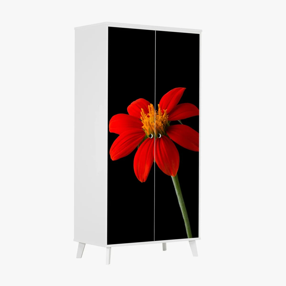 Adesivo per armadio girasole messicano su sfondo nero • Wallissimo® Adesivo per armadio girasole messicano su sfondo nero • Wallissimo®