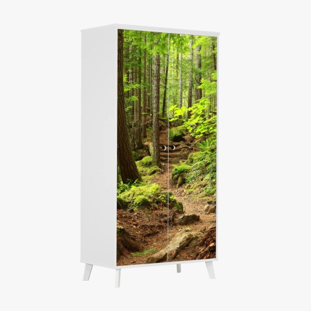 Adesivo per armadio sentiero nella foresta verde • Wallissimo®