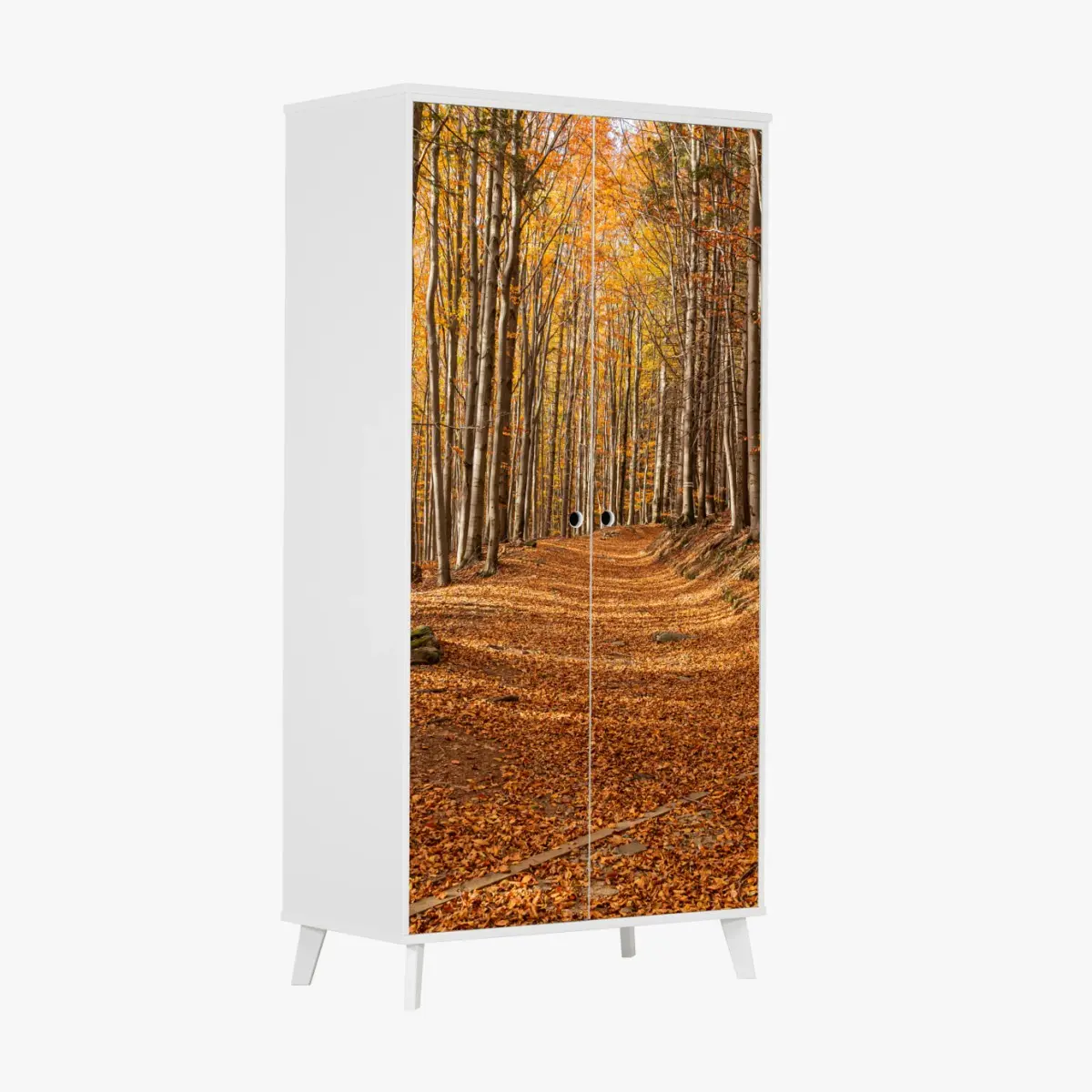 Adesivo per armadio sentiero d'autunno nel bosco dorato • Wallissimo®