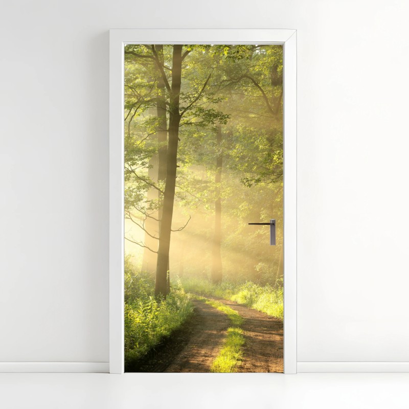 Adesivo per porta sentiero nel bosco al mattino