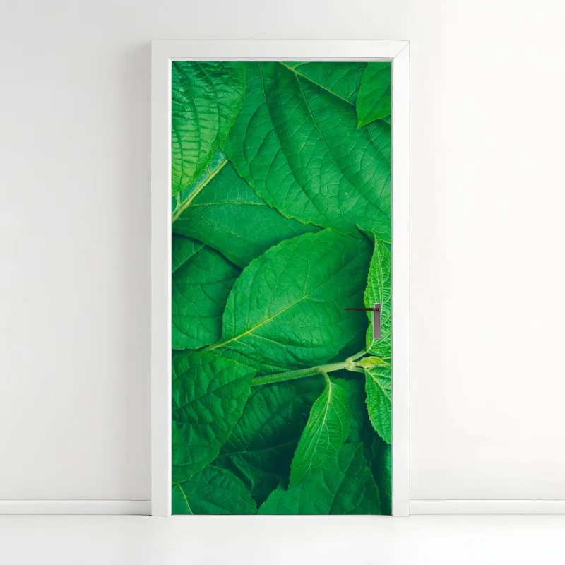 Adesivo per porta oasi di foglie verdi