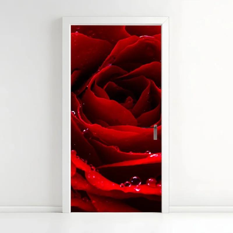 Adesivo per porta rosa rossa in primo piano con gocce di rugiada