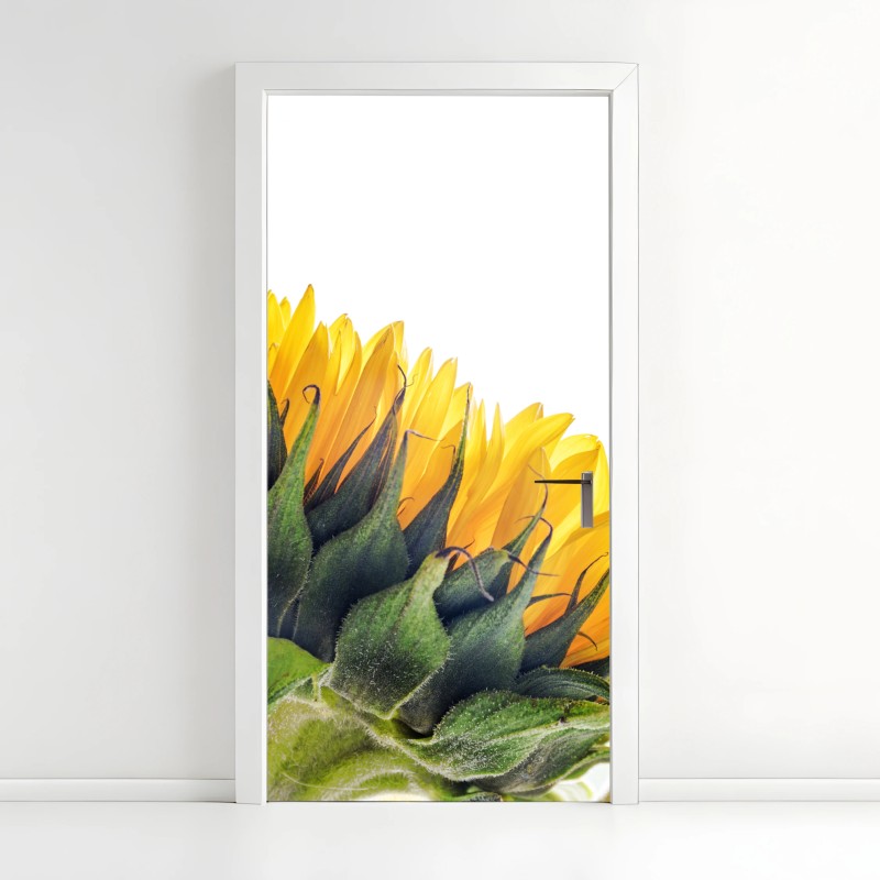 Adesivo per porta girasole in controluce su sfondo bianco