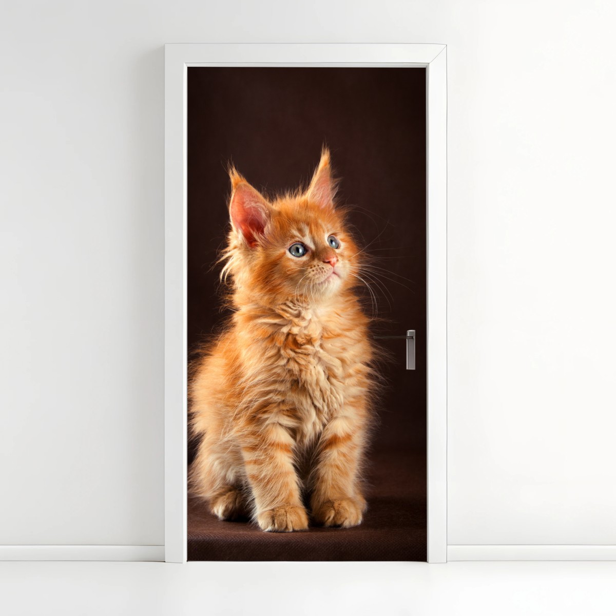 Adesivo per porta gattino arancione dal manto soffice e occhi azzurri • Wallissimo®