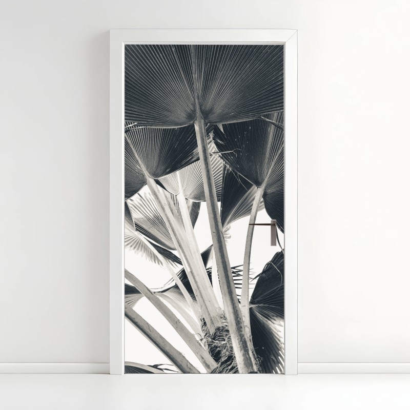 Adesivo per porta dettaglio di palme a ventaglio in bianco e nero