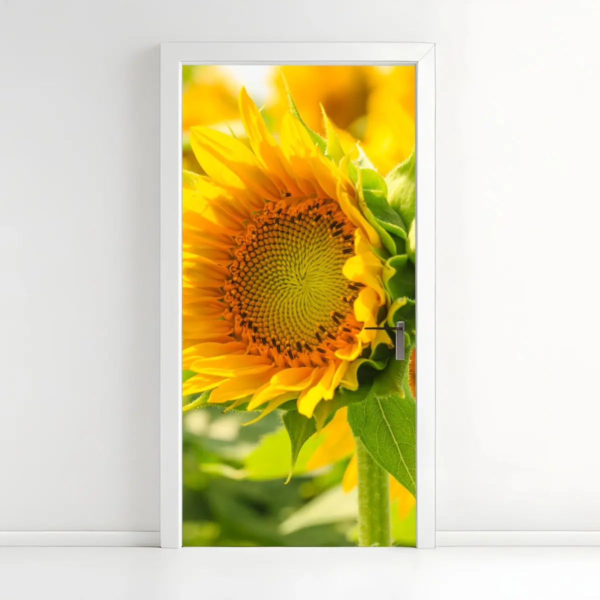 Adesivo per porta girasole in primo piano dal colore solare • Wallissimo® Adesivo per porta girasole in primo piano dal colore solare • Wallissimo®