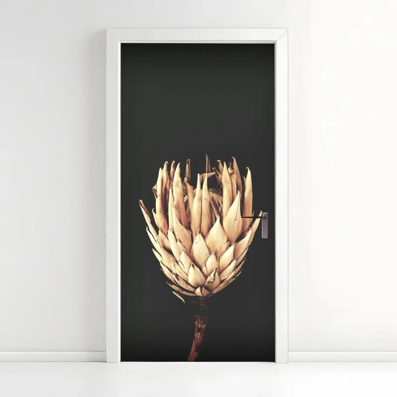 Adesivo per porta protea essiccata su sfondo scuro, botanica minimal