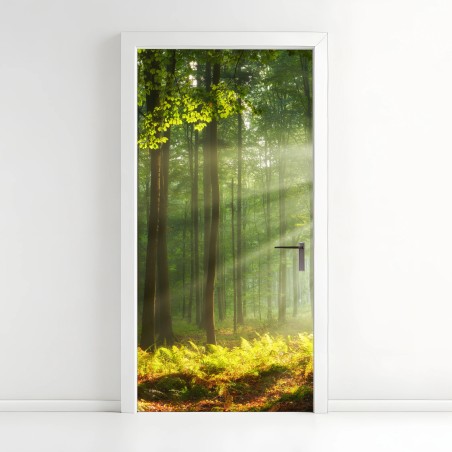 Adesivo per porta mattina autunnale nella foresta antica • Wallissimo®