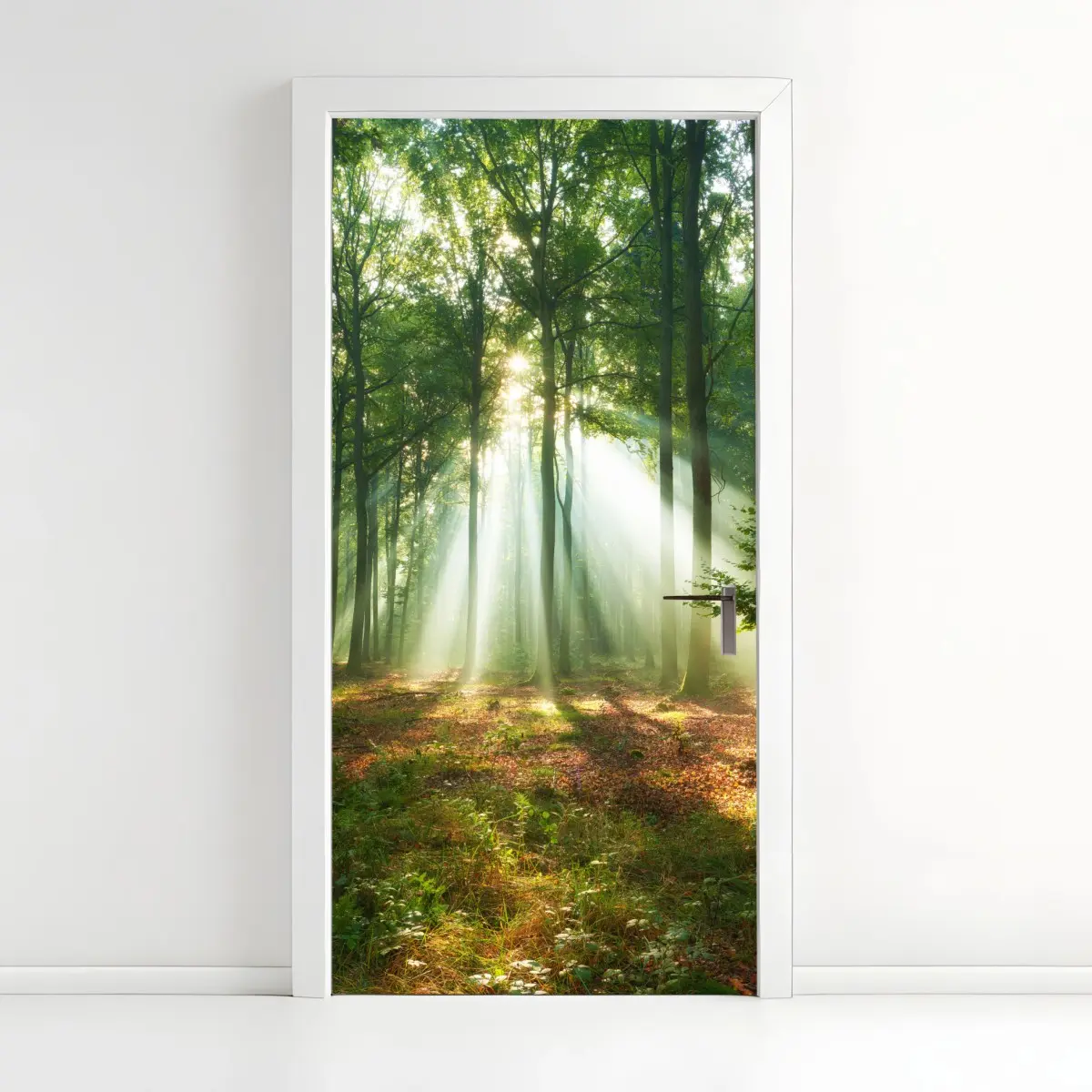 Adesivo per porta mattino nel bosco: raggi di luce tra gli alberi • Wallissimo®