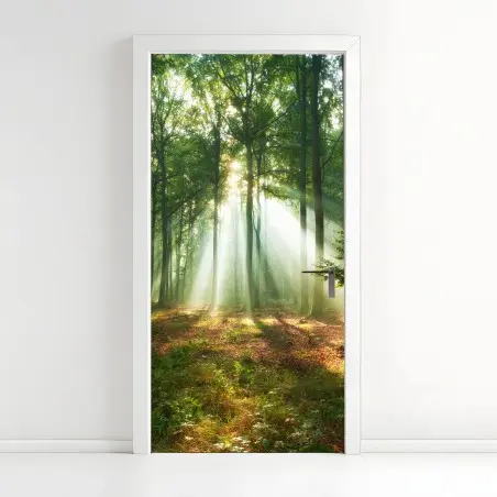Adesivo per porta mattino nel bosco: raggi di luce tra gli alberi • Wallissimo®