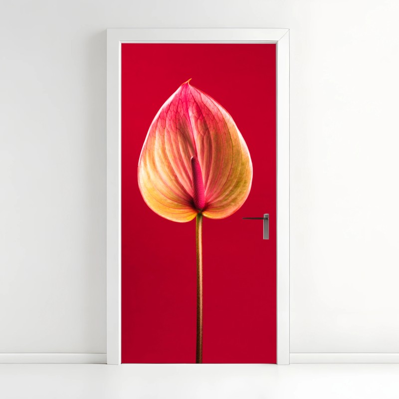 Adesivo per porta anturio su sfondo rosso in stile botanico minimalista