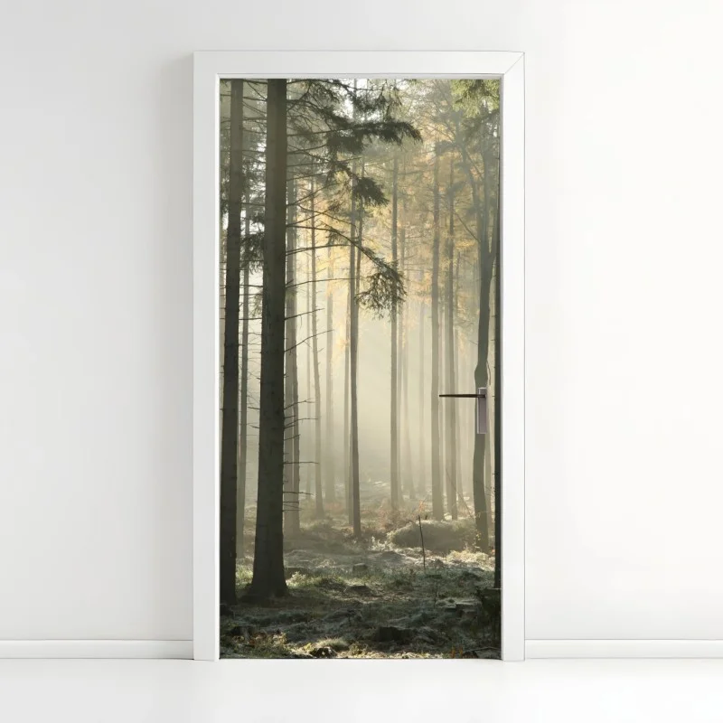 Adesivo per porta foresta nebbiosa al mattino