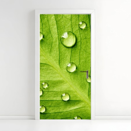 Adesivo per porta foglia verde con gocce d'acqua • Wallissimo®