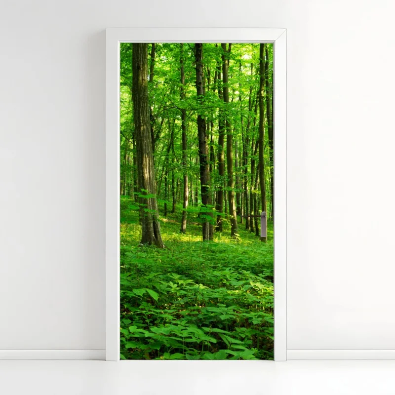 Adesivo per porta raggi di sole nella foresta primaverile