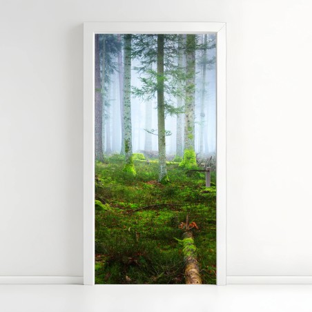 Adesivo per porta foresta nebbiosa con tappeto di muschio, Alsazia • Wallissimo®