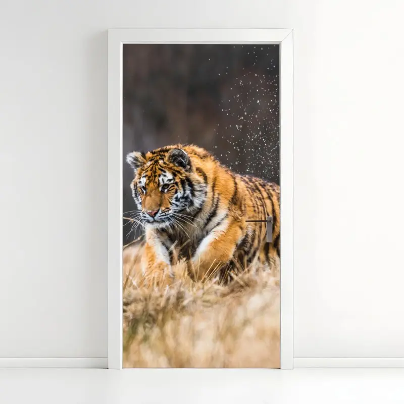 Adesivo per porta tigre siberiana in corsa tra le betulle