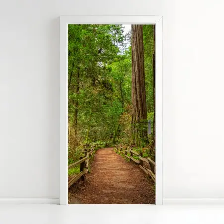 Adesivo per porta sentiero nella foresta di sequoie • Wallissimo®
