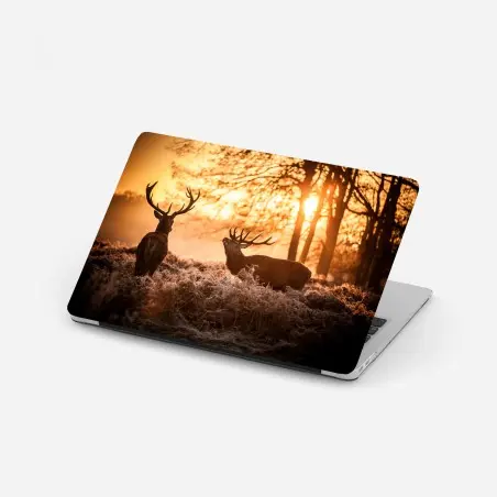 Adesivo per laptop cervi al tramonto nel bosco • Wallissimo®