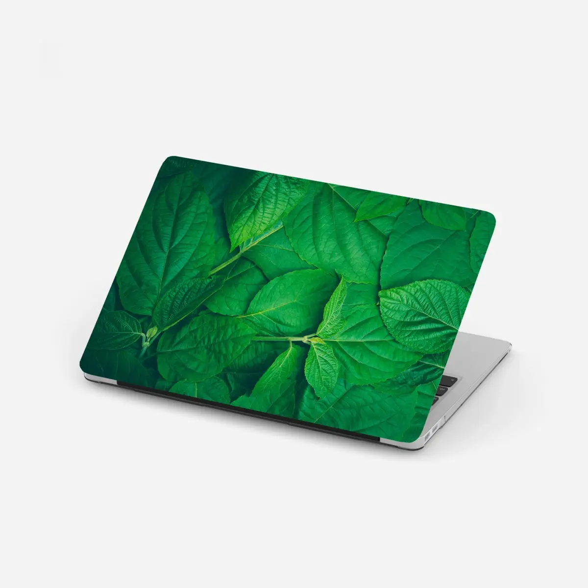Adesivo per laptop oasi di foglie verdi • Wallissimo®