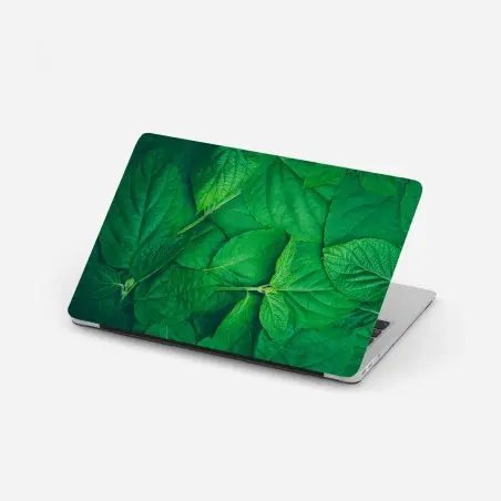 Adesivo per laptop oasi di foglie verdi • Wallissimo®