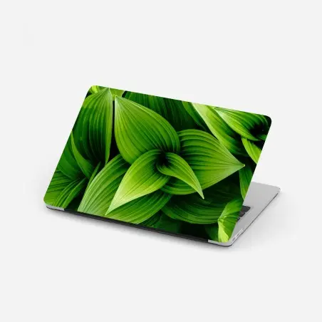 Adesivo per laptop motivo botanico di foglie verdi • Wallissimo®