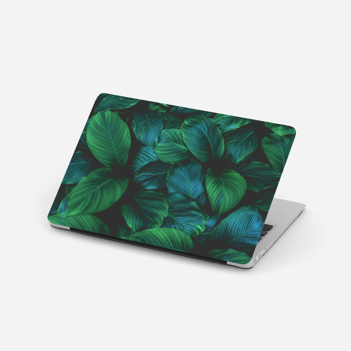 Adesivo per laptop oasi di foglie tropicali • Wallissimo®
