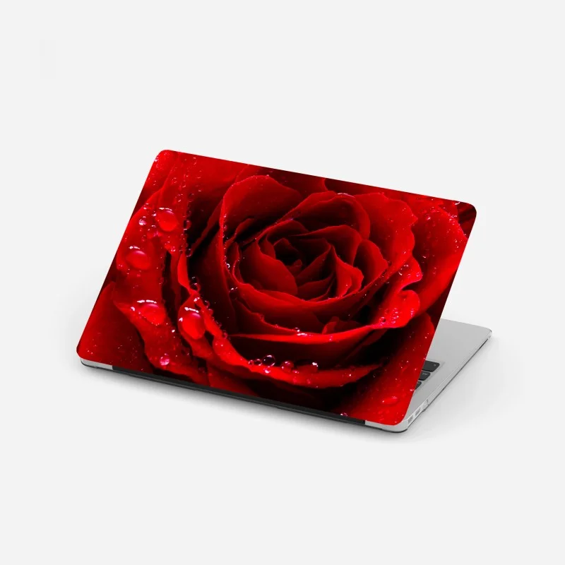 Adesivo per laptop rosa rossa in primo piano con gocce di rugiada