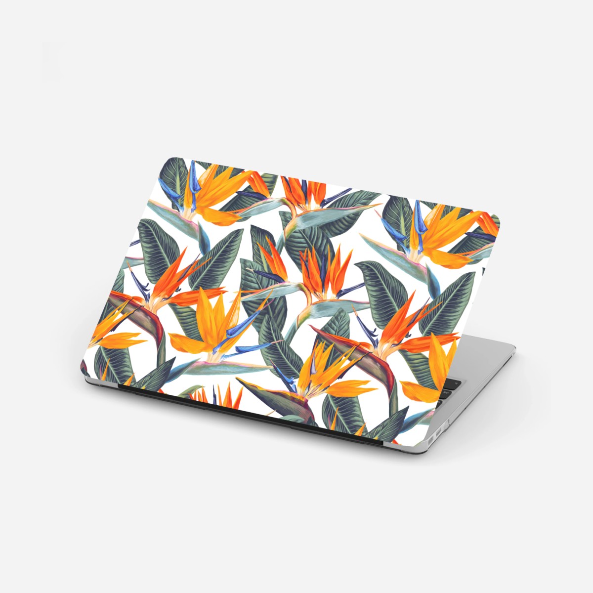 Adesivo per laptop motivo tropicale con uccelli del paradiso • Wallissimo®