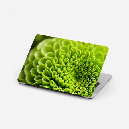 Adesivo per laptop mandala floreale verde in macro • Wallissimo®
