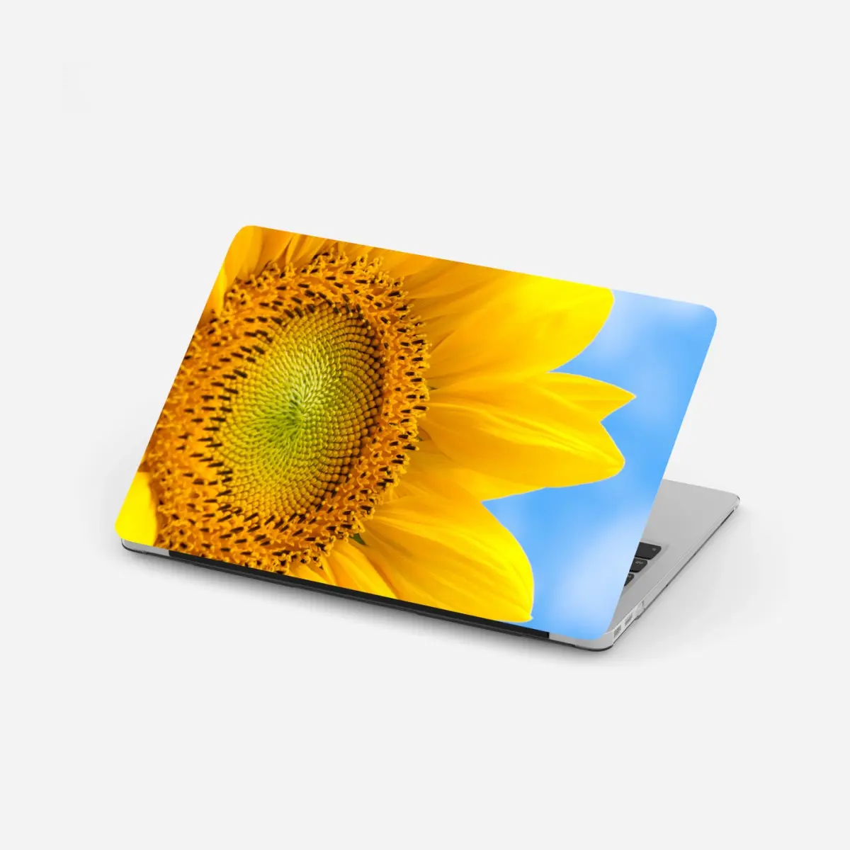 Adesivo per laptop girasole brillante su cielo azzurro • Wallissimo®