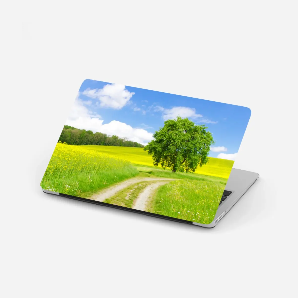 Adesivo per laptop paesaggio di campagna con albero solitario • Wallissimo®